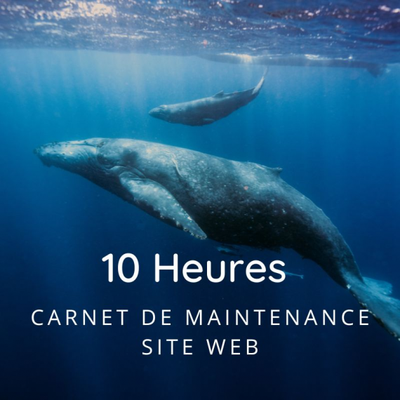 10 Heures de maintenance site Web
